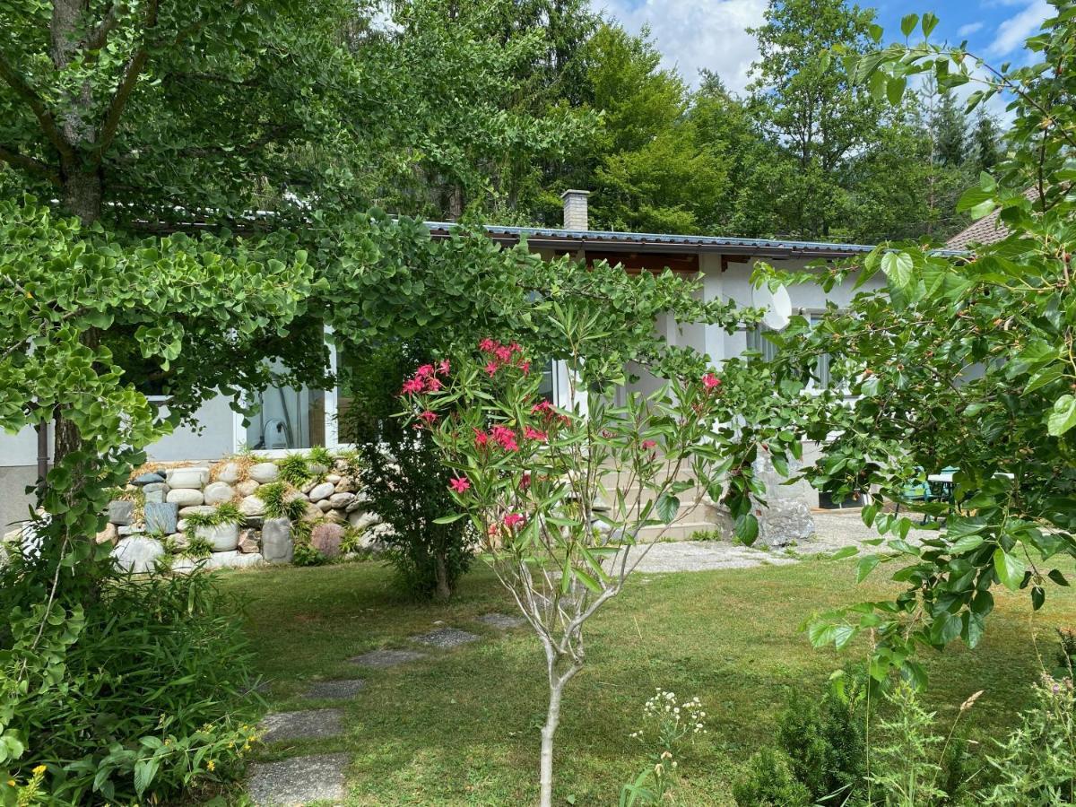 Bungalow Grabner Hermagor-Pressegger See Exterior foto