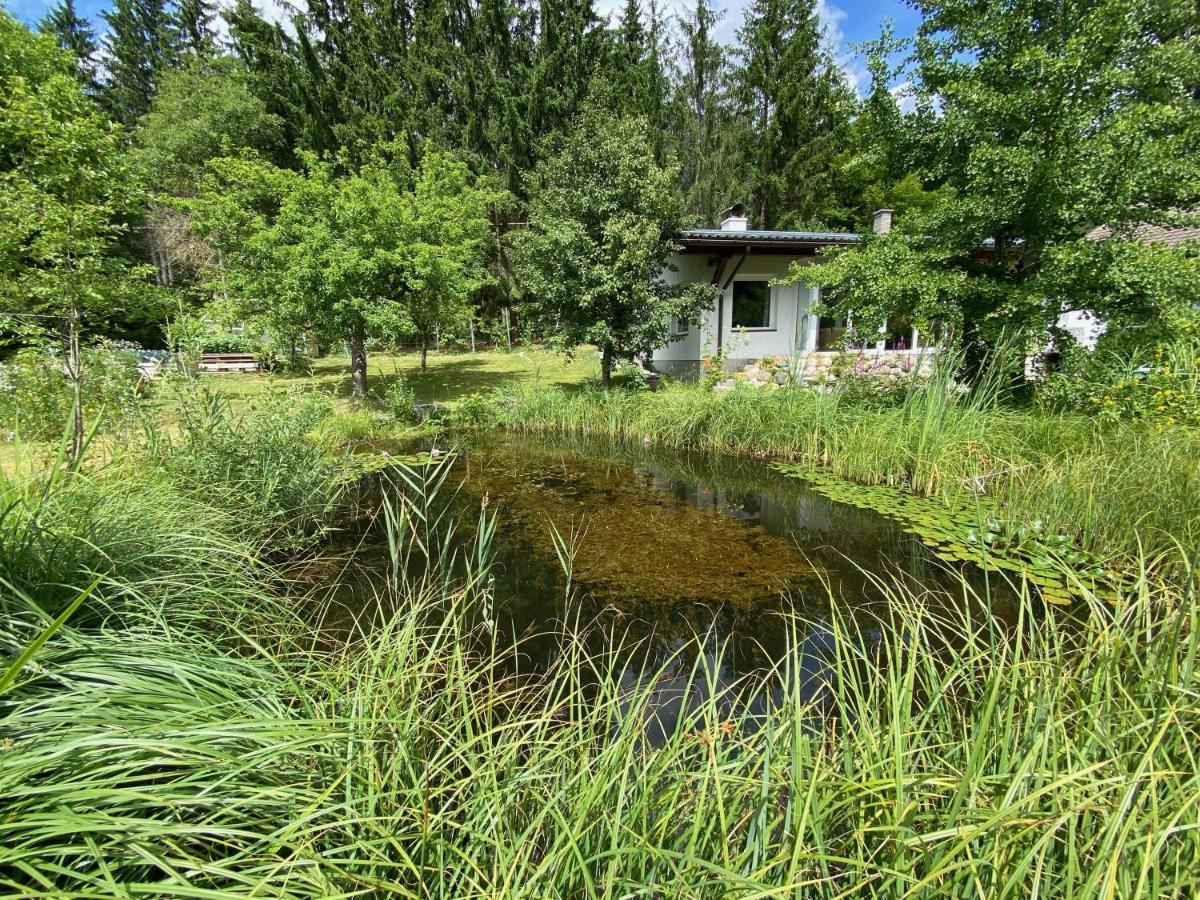 Bungalow Grabner Hermagor-Pressegger See Exterior foto